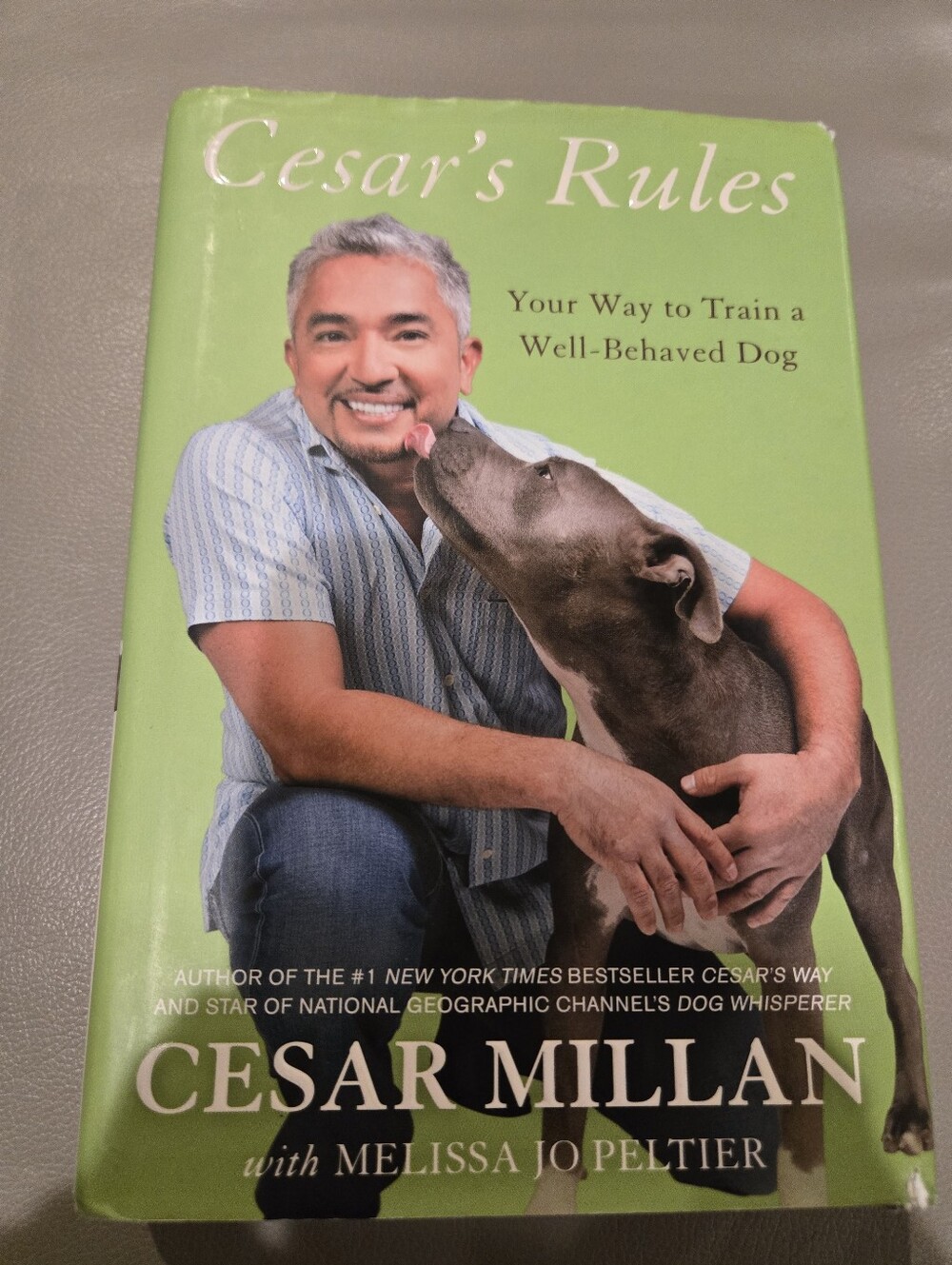 Cesar's Rules: Your Way to Train a Well-Behaved Dog - Green Cover